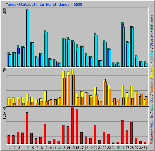 Tages-Statistik im Monat Januar 2025