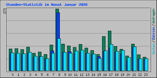 Stunden-Statistik im Monat Januar 2026