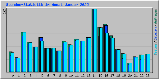 Stunden-Statistik im Monat Januar 2025